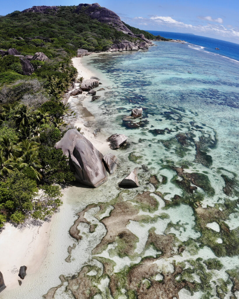 sara caulfield seychelles