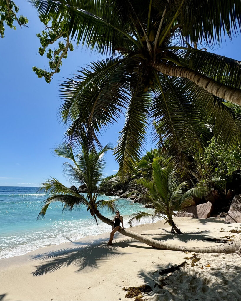 sara caulfield seychelles