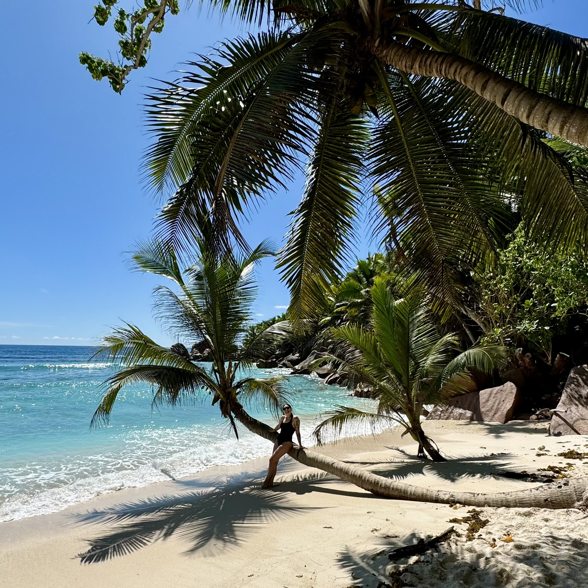 Viaggio alle Seychelles: cosa fare e dove andare